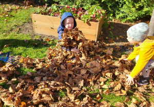 chłopiec schowany w liściach