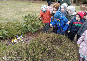 dzieci oglądają pierwsze kwiaty w ogrodzie