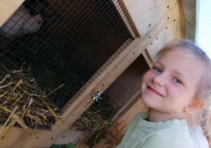 dziewczynka stoi przy klatce z królikami
