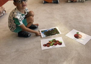 chłopiec pokazuje ilustracje jabłek