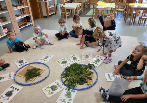 dzieci segregują obrazki drzew liściastych i iglastych