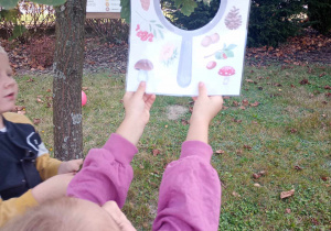 dziewczynka pokazuje znalezione drzewo liściaste