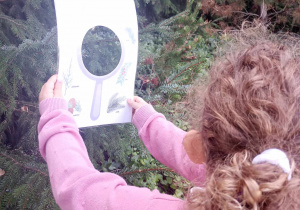 dziewczynka pokazuje znalezione drzewo iglaste