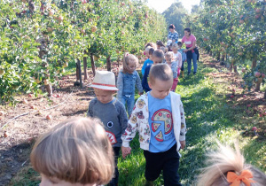 dzieci spacerują po sadzie