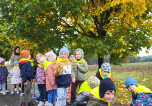 dzieci pokazują znalezione kolorowe liście