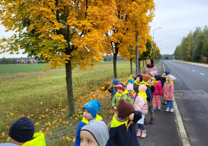 grupa dzieci ogląda kolory liści na drzewach