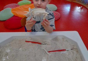 Chłopiec ułożył szkielet dinozaura