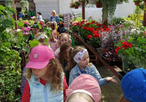 dzieci oglądają rośliny