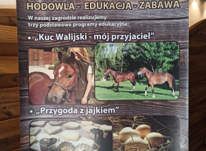 Wycieczka do zagrody edukacyjnej "Stefanówka"