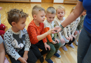 chłopiec dotyka owada