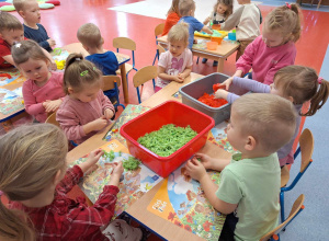 Zajęcia sensoplastyczne z Panią Anią