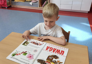 Chłopiec ogląda książkę o produktach ekologicznych