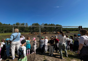 Dzieci podziwiają krowy i cielaki