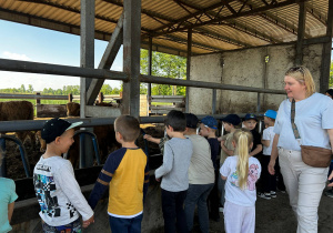 Dzieci zachwycające się bydłem
