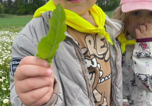 Tymuś pokazuje listek