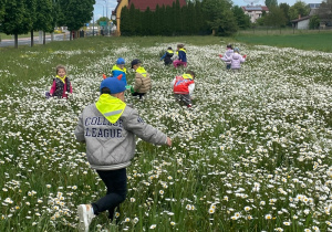 Dzieci szukają owadów na łące1