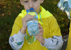 Zdjęcie 11 na 29