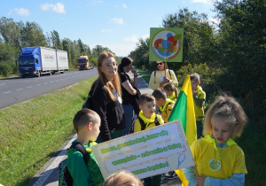 Zdjęcie 12 na 29