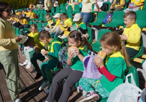 Zdjęcie 13 na 29