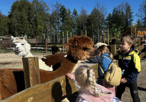 Dzieci karmią zwierzęta