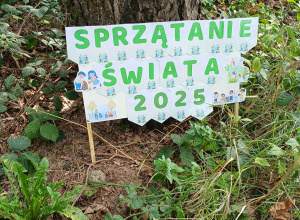 Sprzątanie świata w pięciolatkach
