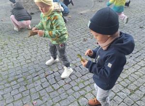 Jesienny spacer czterolatków