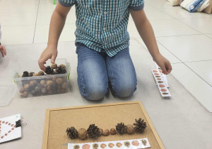 Chłopiec układa sekwencje z darów jesieni