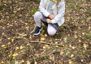 Dziewczynka układa patyki w lesie