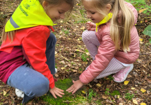 Dziewczynki dotykają mech