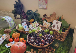 Dary natury zebrane przez dzieci