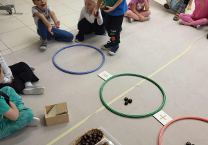 Matematyka z kasztanami