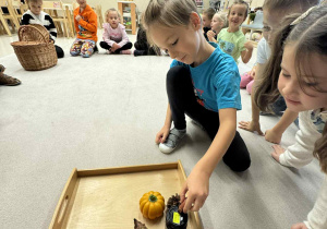 chłopiec układa na tacy dary jesieni