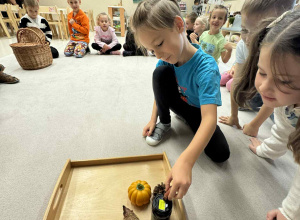 Projekt Edukacyjny "Play With English - Play In English" zadanie nr 1 "Feel the Autumn"