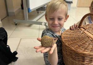 chłopiec trzyma w ręku figurkę jeża