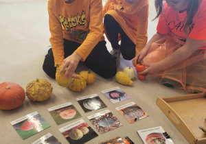 dzieci układają dynie od najmniejszej do największej