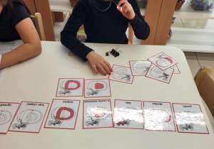 dziewczynka układa karty Montessori- Budowa dyni