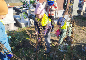 przedszkolaki wyrywają chwasty