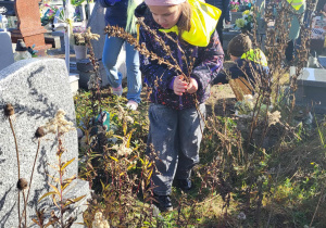 dzieci sprzątają cmentarz