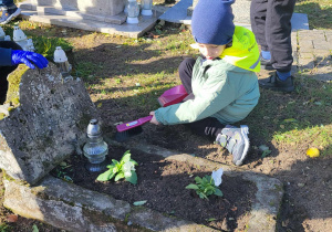 chłopiec sprząta wokół grobu