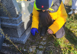 chłopiec usuwa chwasty