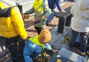 dzieci zbierają liście