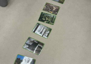 na dywanie leżą obrazki nawiązujące do piosenki "we going on the bear hunt"-"idziemy na polowanie na misia"