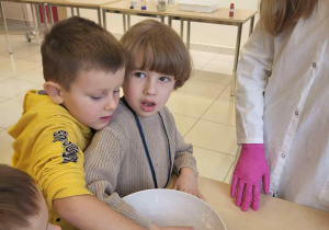 pcy siedzą przy stoliku i dotykają cieszy nienewtonowskie