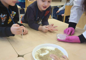 chłopcy siedzą przy stoliku i obserwują doświadczenie z pieprzem