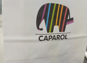 Wycieczka pięciolatków do Caparolu