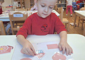 chłopiec dobiera obrazki do cieni