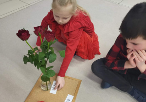 dziewczynka kładzie podpis przy odpowiednim przedmiocie