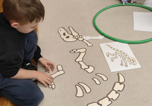 Chłopiec układa szkielet dinozaura