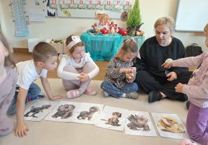 dinozaury po angielsku