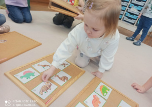 dziewczynka przykłada szkielet do obrazka